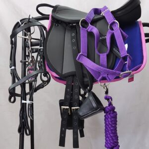 Miniature pony saddle starter