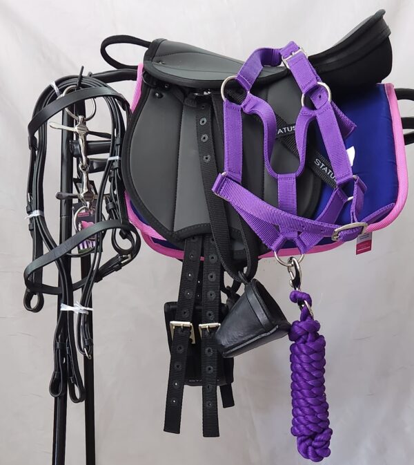 Miniature pony saddle starter