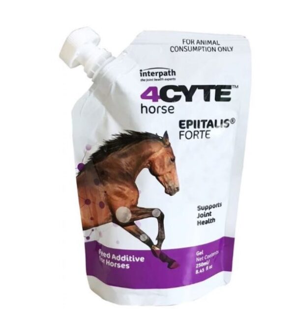 4cyte horse epitalis gel