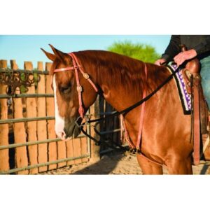 Ad draw rope martingale