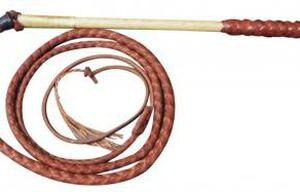 Chromehide plait stock whip