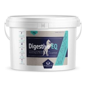 Best horse digestive eq