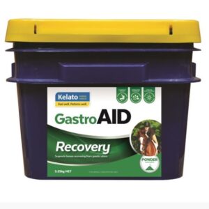 Horse Kelato Gastroaid recovery