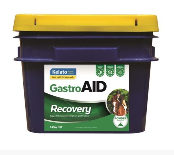 Horse Kelato Gastroaid recovery