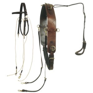 Ord river mouthing harness